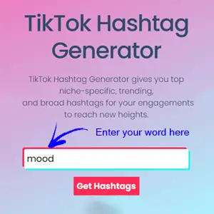 Enter the keyword in the input of TikTok hashtag generator